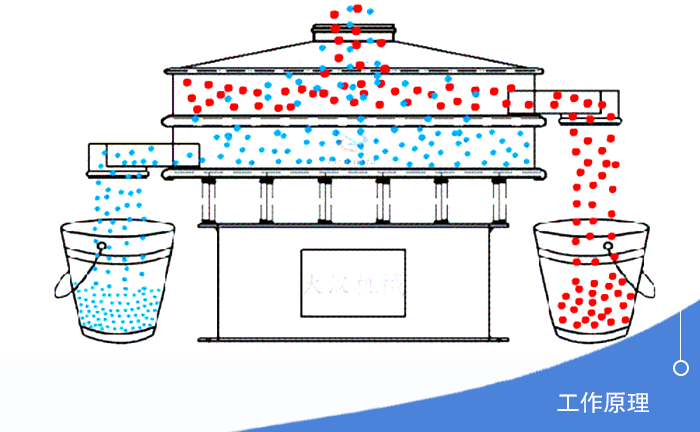 不銹鋼旋振篩分機(jī)
